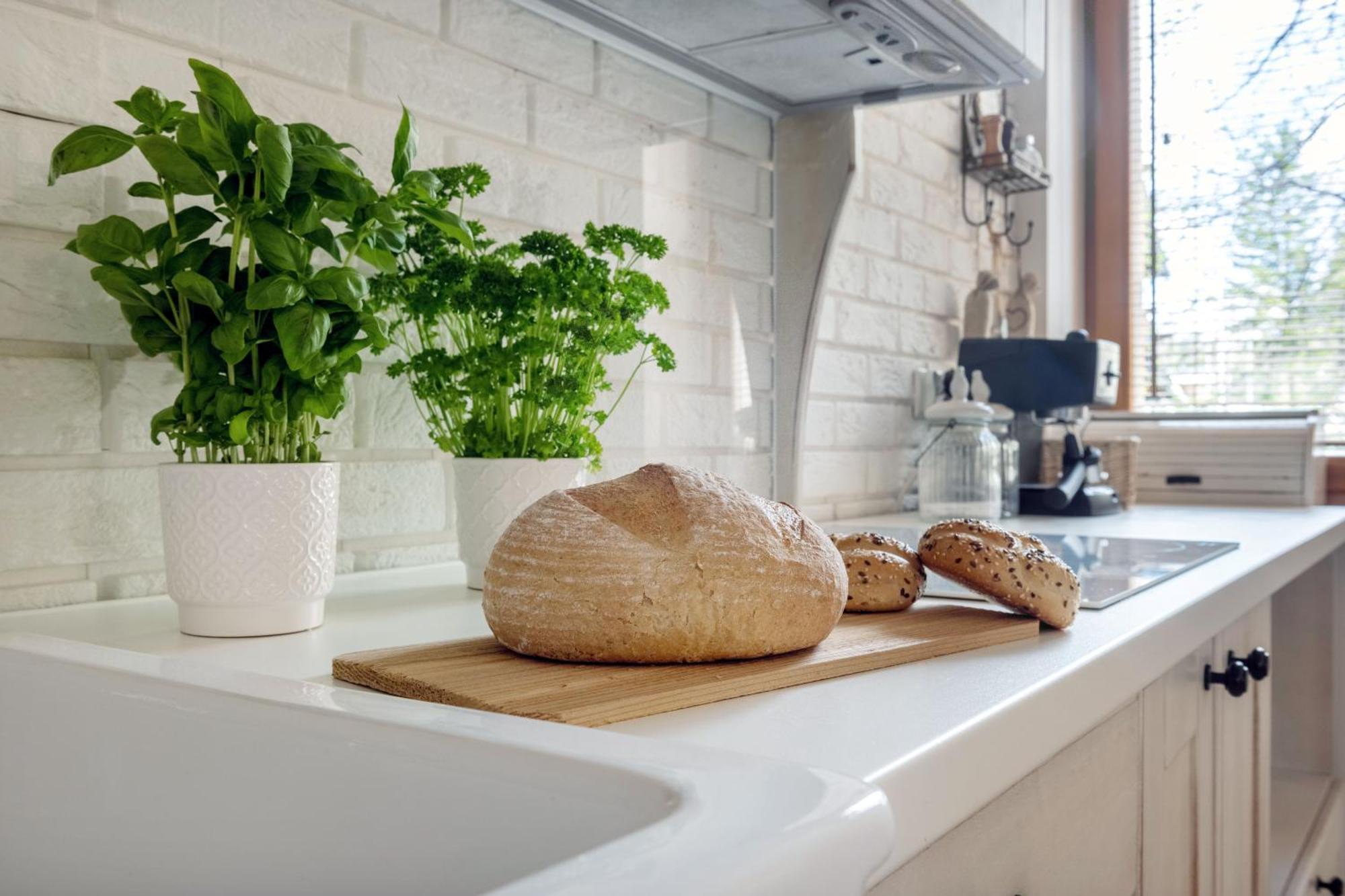 Apartament Pod Orlem Zakopane Ngoại thất bức ảnh